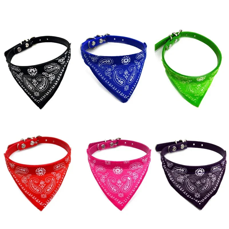 Bandana coloré  ajustable pour chat