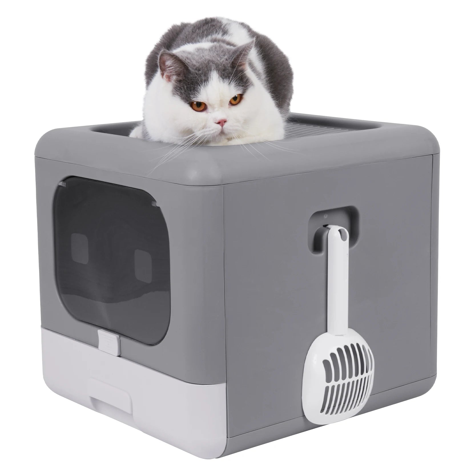 Grande boîte litière pratique pour chat