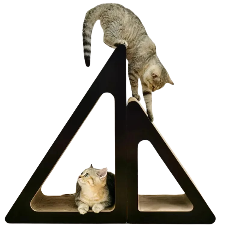 Griffoir/cabane  2 en 1 pour chat