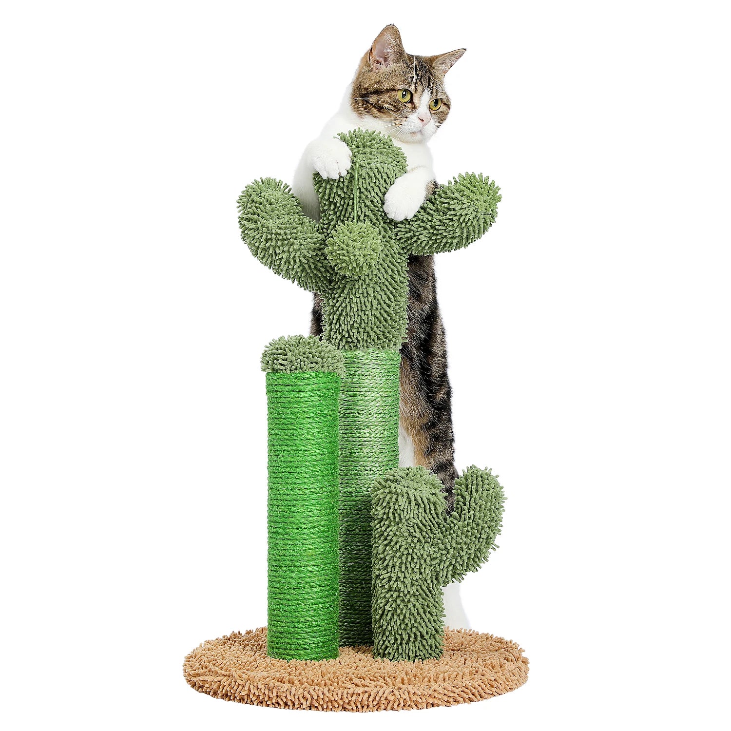 Griffoir pour chat design cactus