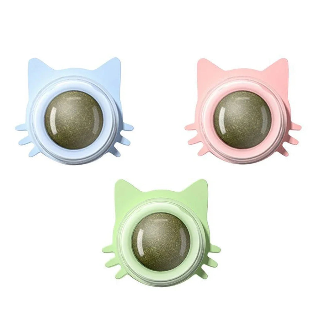 Herbe a chat mural avec un design chat 4*5cm