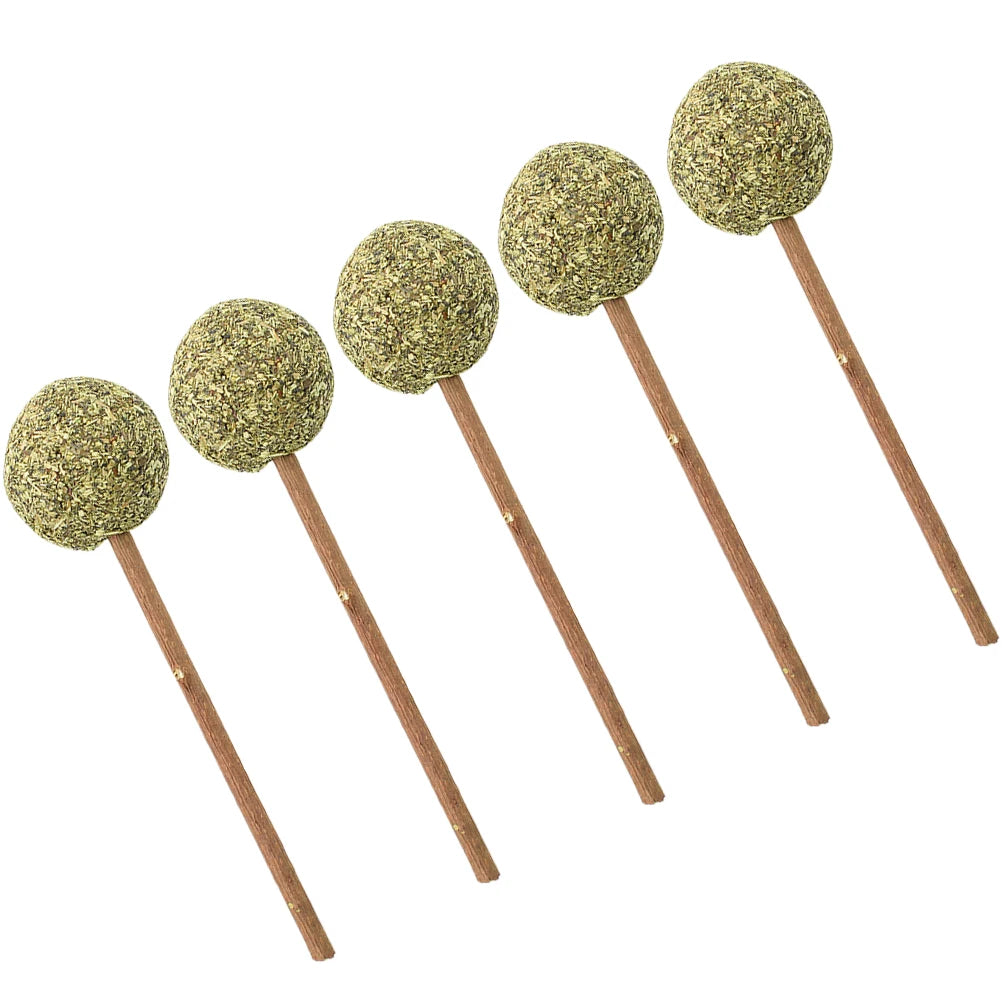 Herbe a chat sous la forme de sucettes 5 pièces