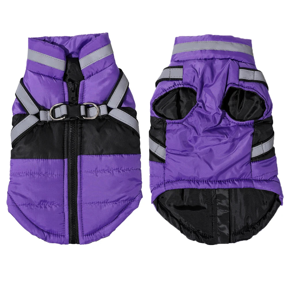 Manteau a Zip violet,rose ou bleu  pour chat