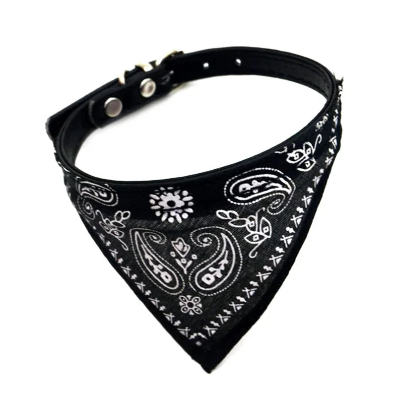 Bandana coloré  ajustable pour chat