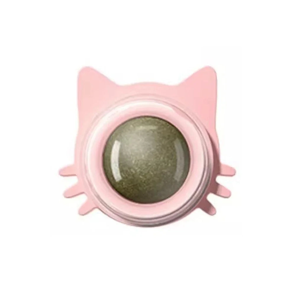 Herbe a chat mural avec un design chat 4*5cm