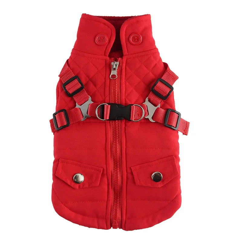 Manteau coloré réflechissant pour chat