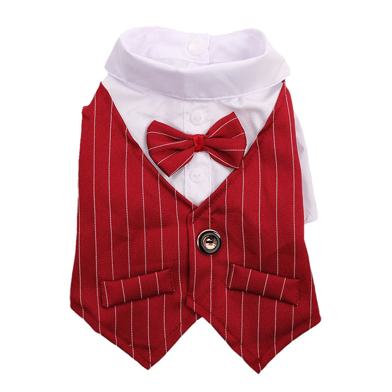 Costume gentleman pour chat