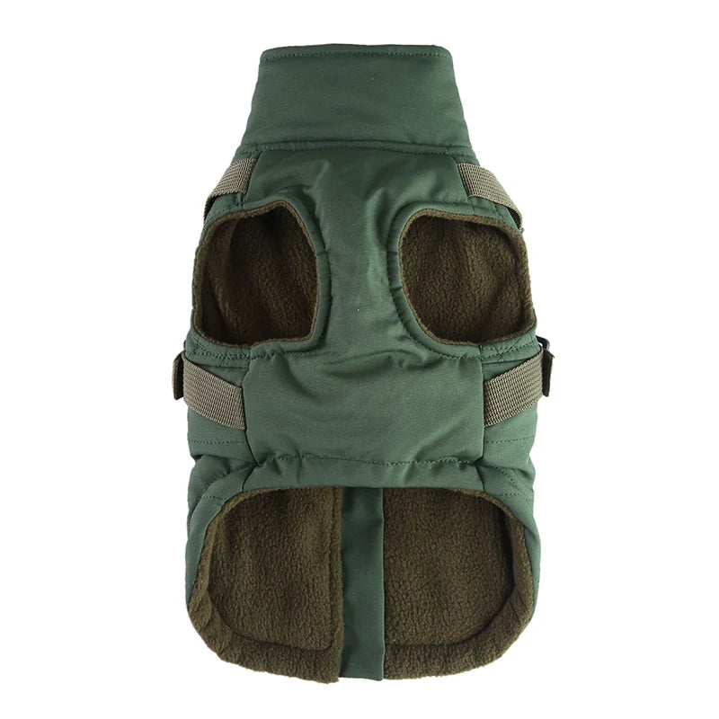 Manteau coloré réflechissant pour chat