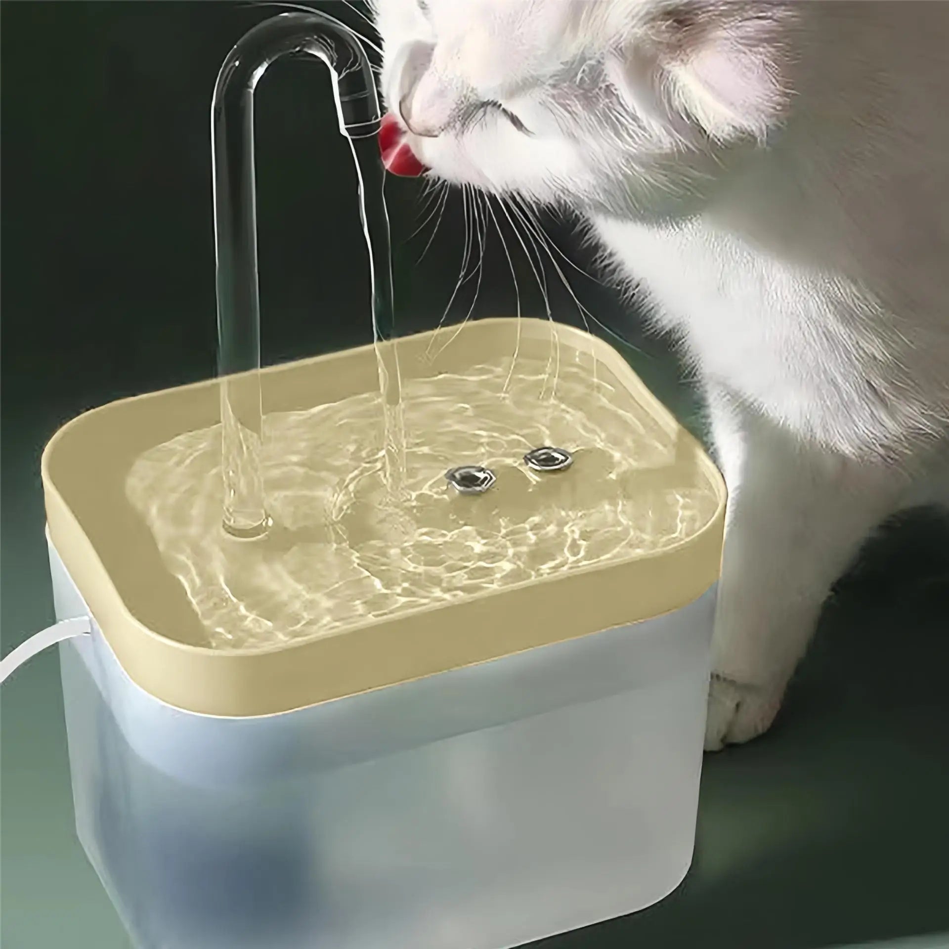 fontaine a eau pour chat