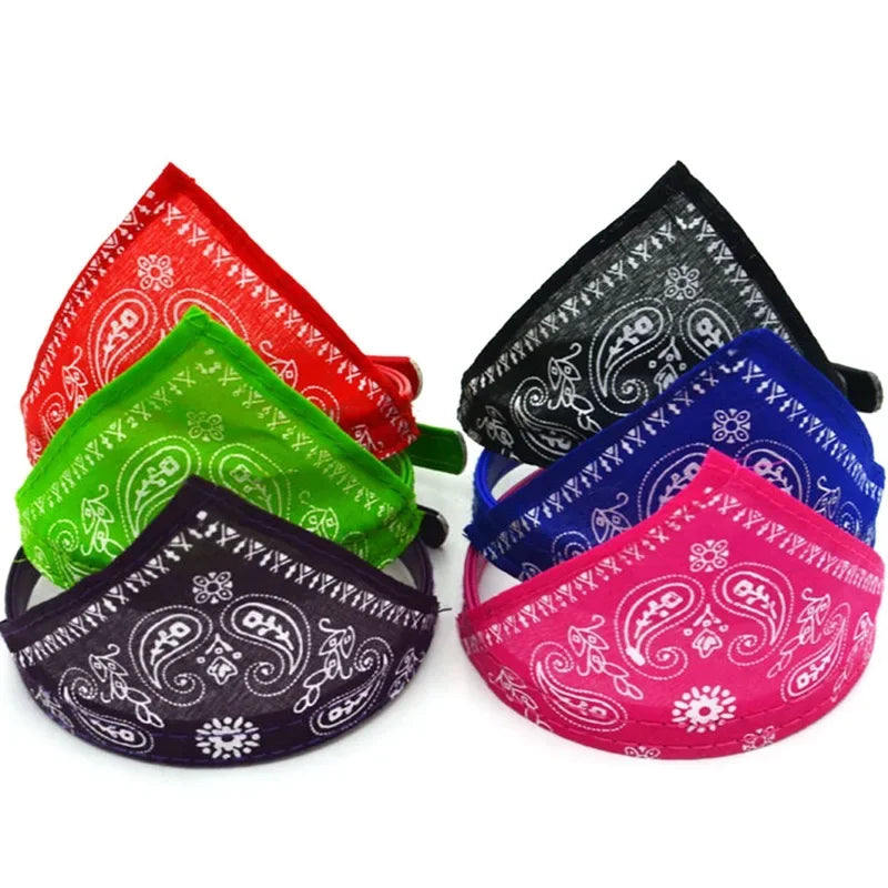 Bandana coloré  ajustable pour chat
