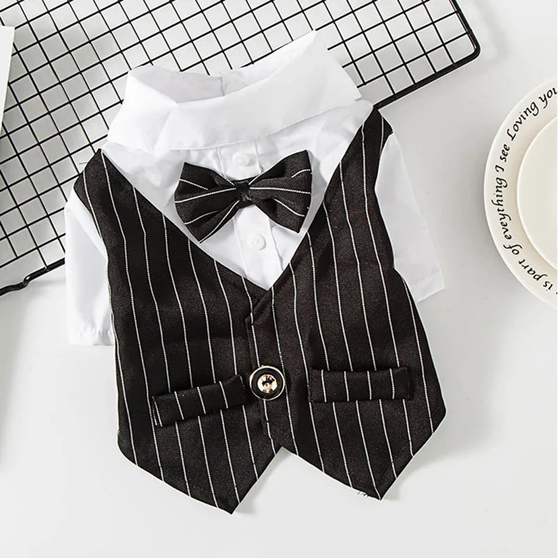 Costume gentleman pour chat