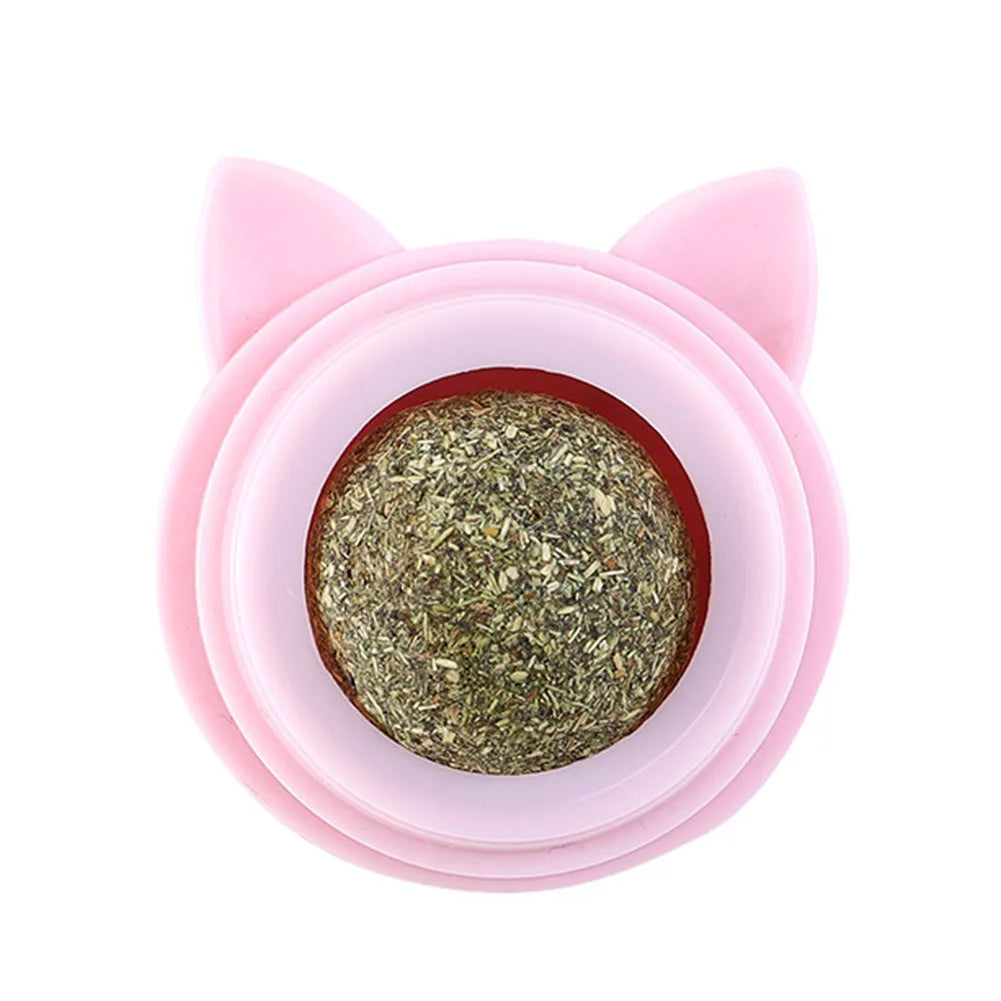 Herbe a chat fraiche mural et rotative