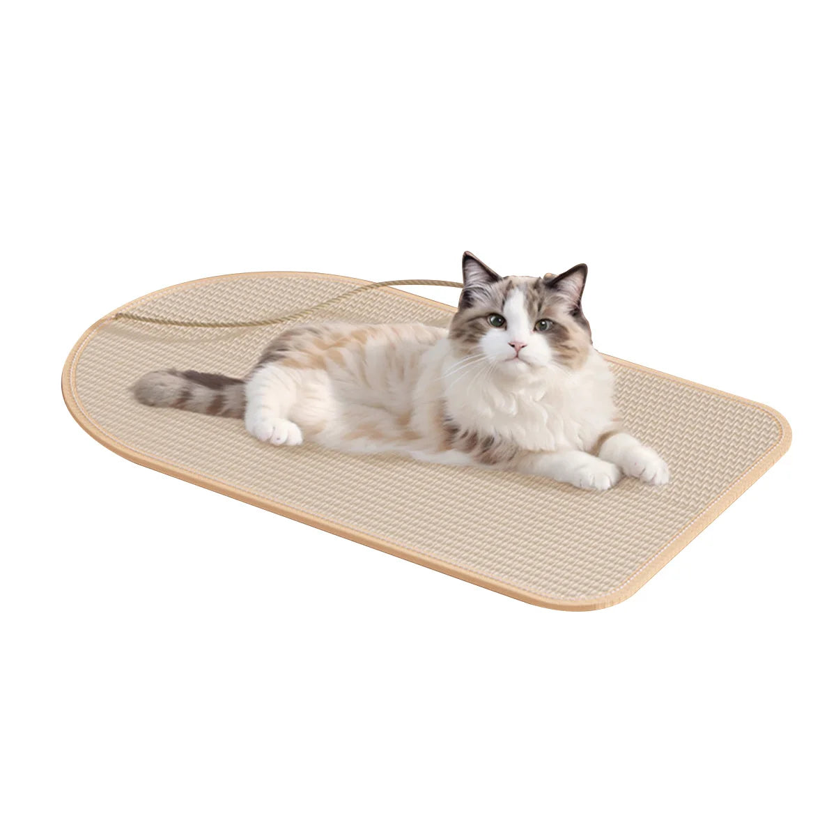 Griffoir mural avec petite boule pour chat 58*36cm