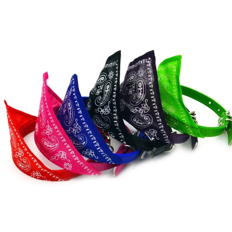 Bandana coloré  ajustable pour chat