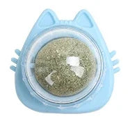 Herbe a chat mural avec design amusant