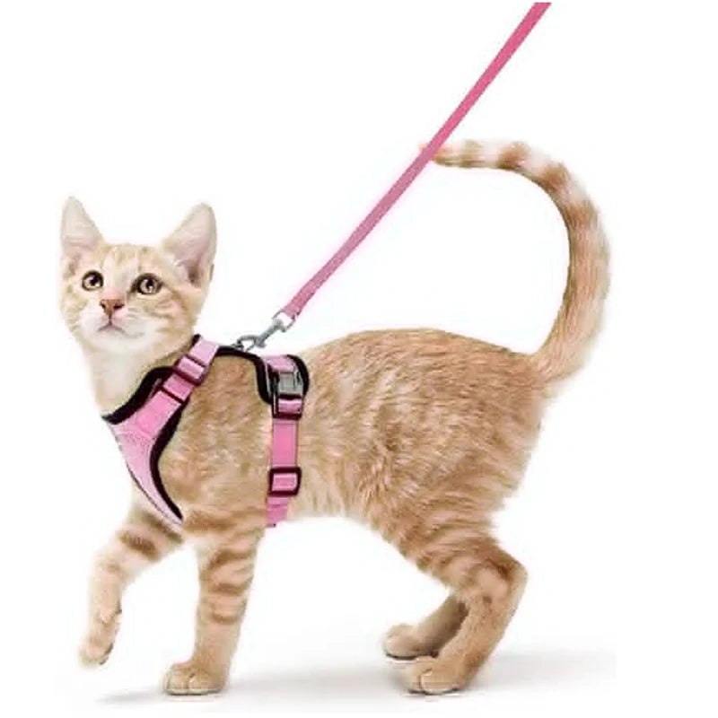 Harnais pour chat qualitatif