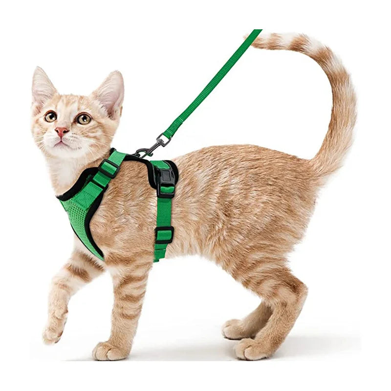 Harnais pour chat qualitatif
