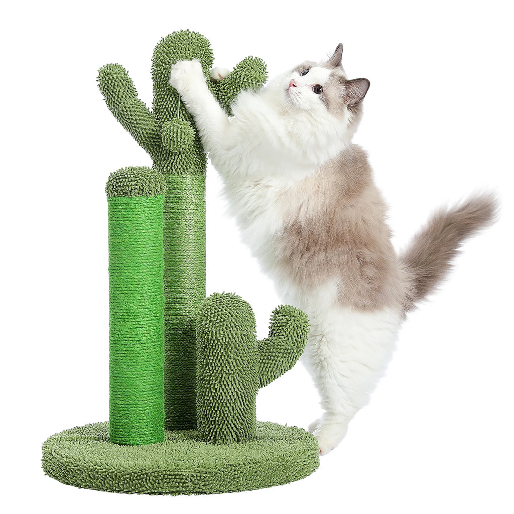 Griffoir pour chat design cactus