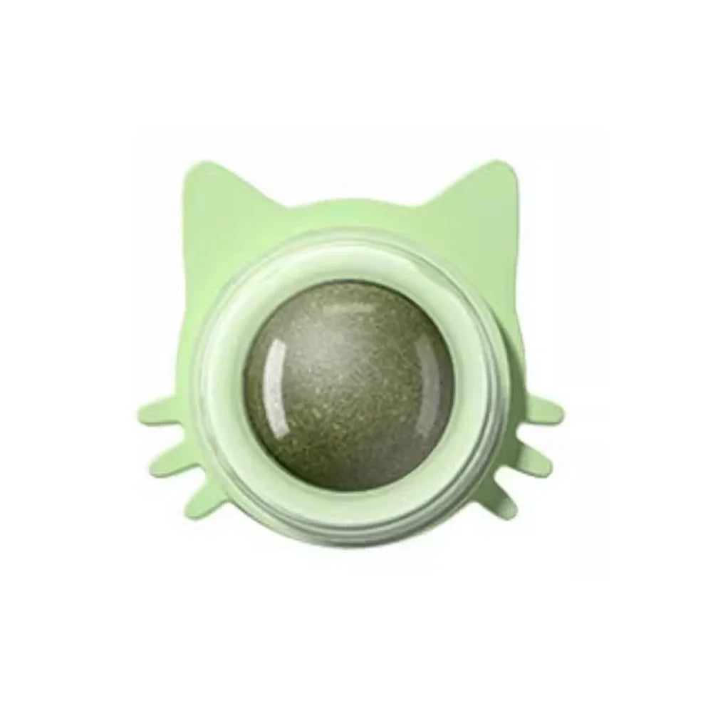 Herbe a chat mural avec un design chat 4*5cm