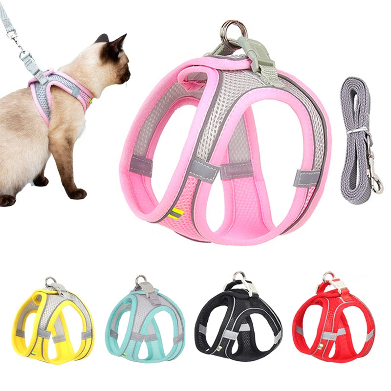 Harnais avec laisse pour chat