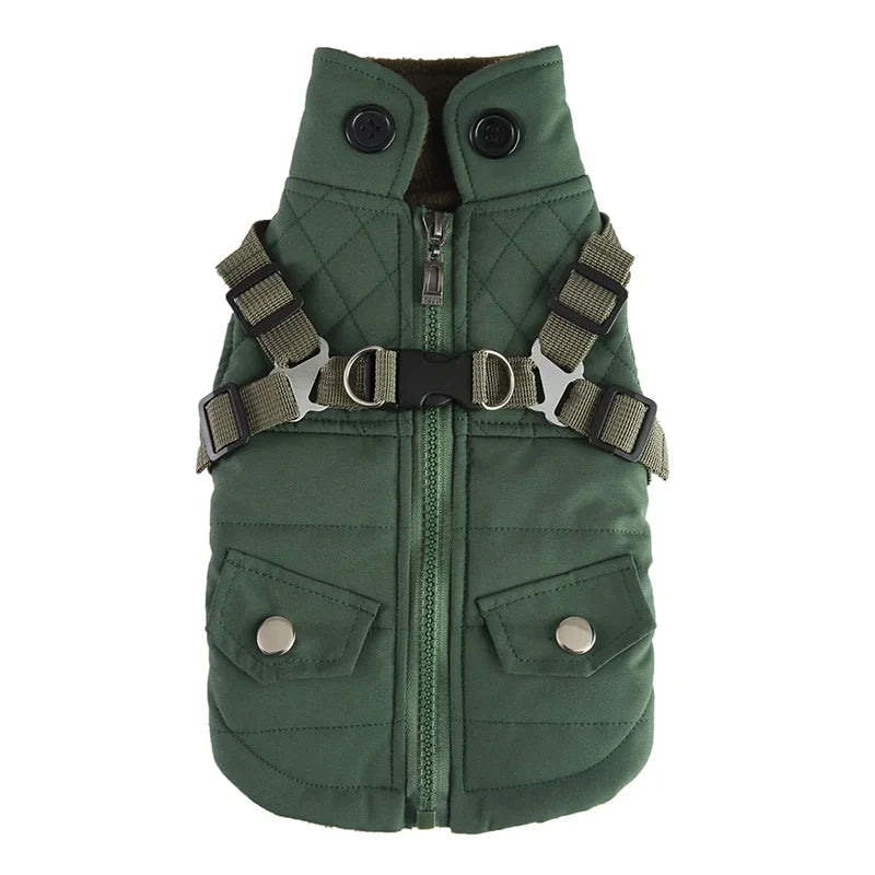 Manteau coloré réflechissant pour chat