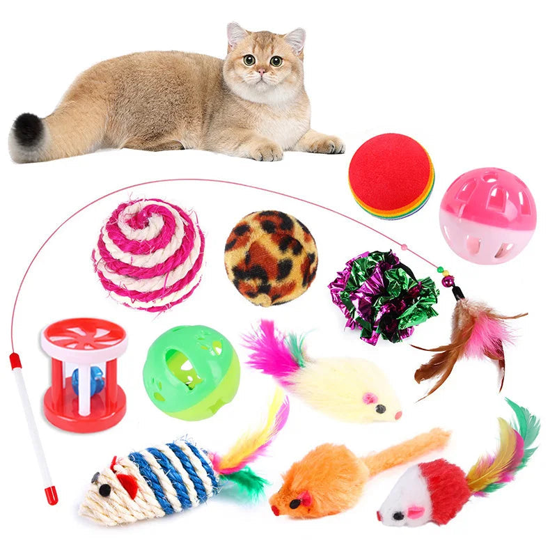 Ensemble de jouet pour chat coloré
