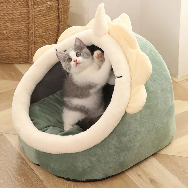 Cat house