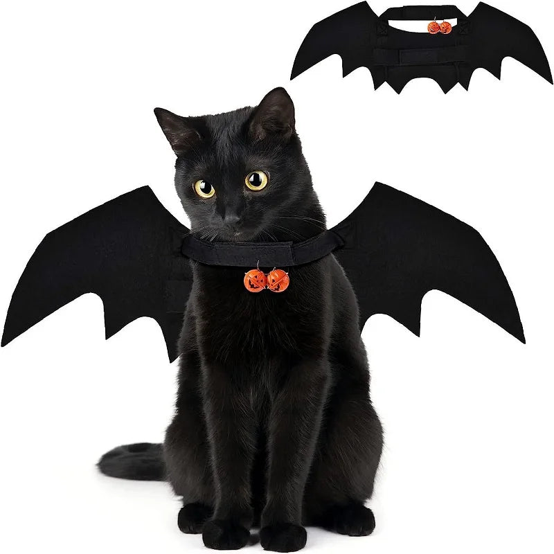 Costume chauve souris pour chat
