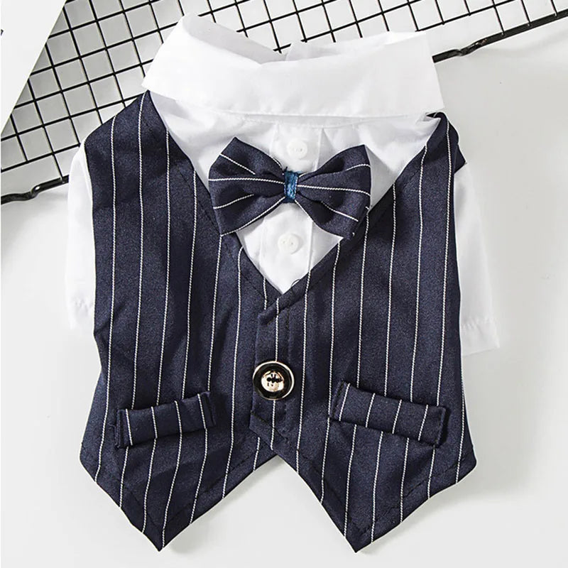 Costume gentleman pour chat