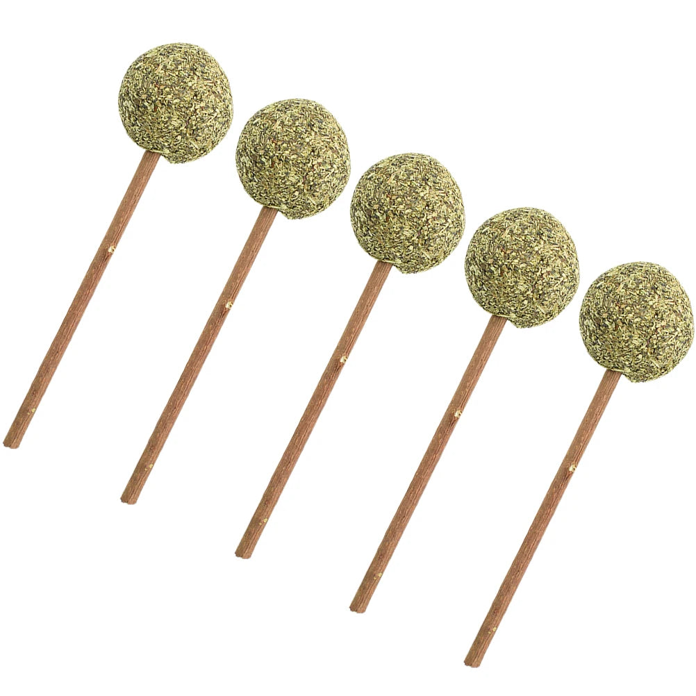 Herbe a chat sous la forme de sucettes 5 pièces