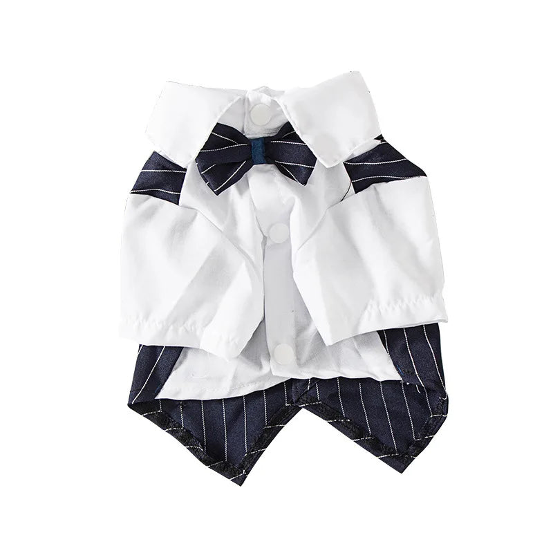 Costume gentleman pour chat