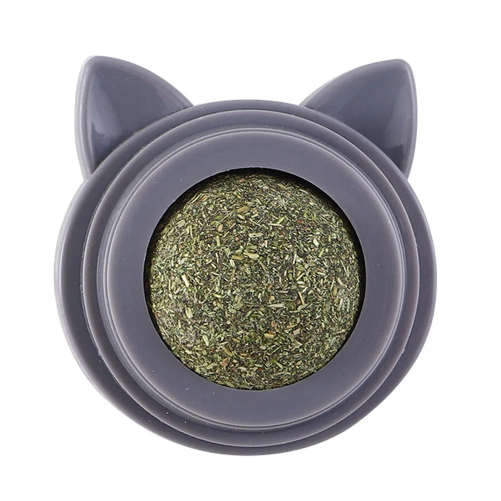 Herbe a chat fraiche mural et rotative