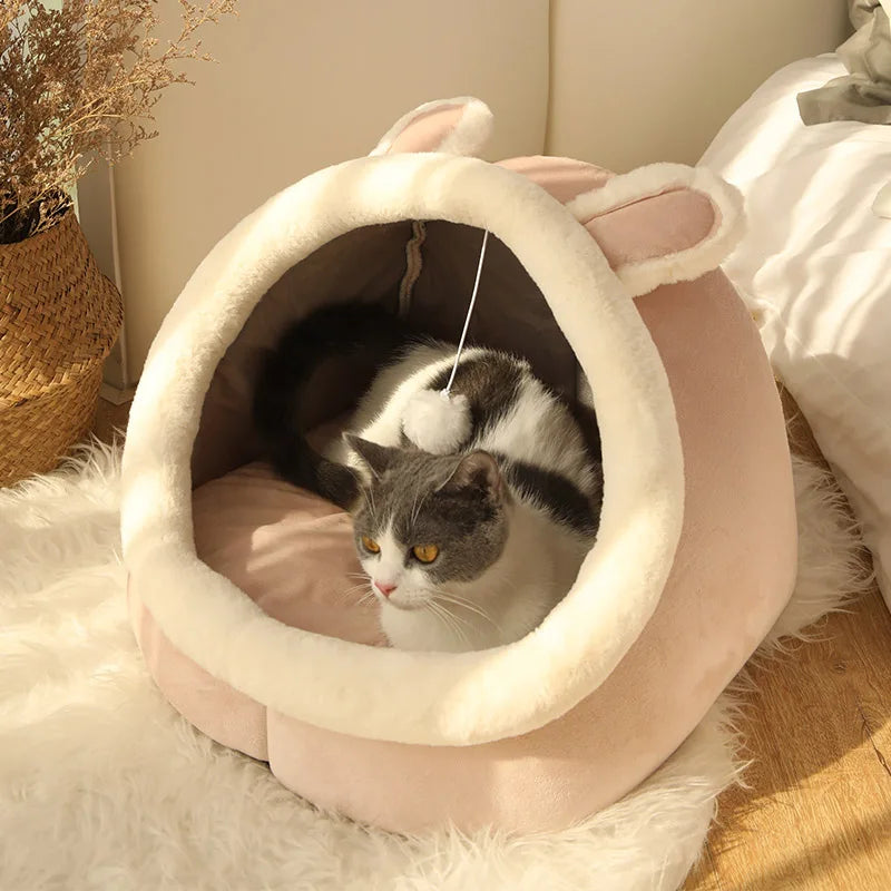 Cat house