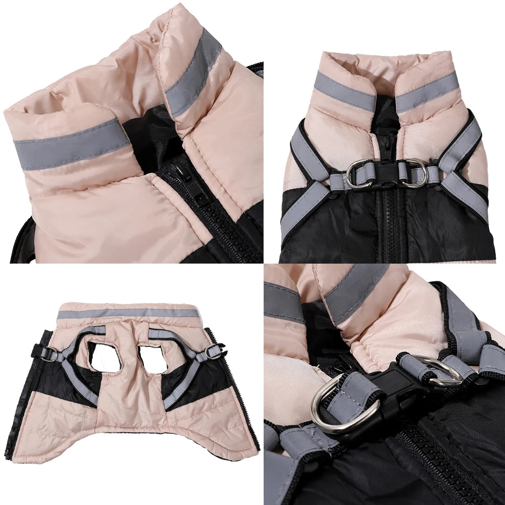 Manteau a Zip violet,rose ou bleu  pour chat