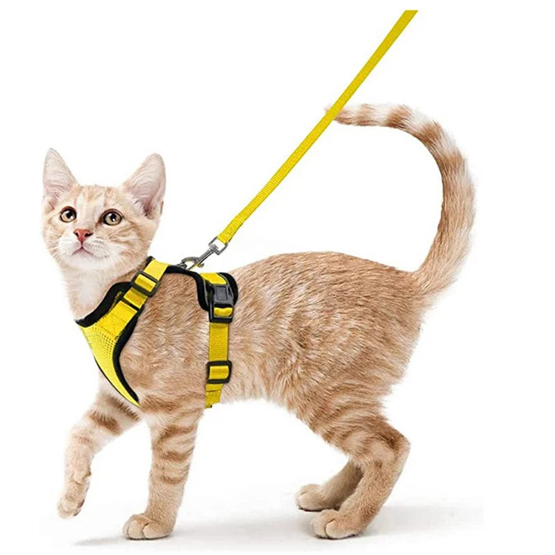 Harnais pour chat qualitatif