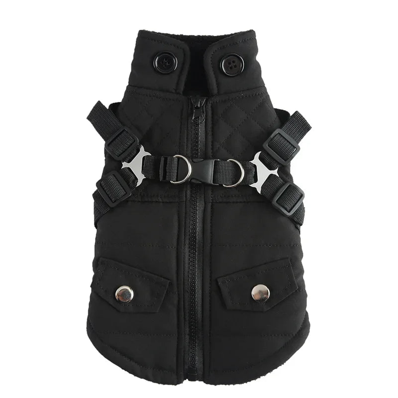 Manteau coloré réflechissant pour chat