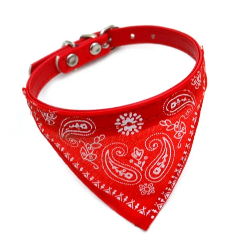 Bandana coloré  ajustable pour chat
