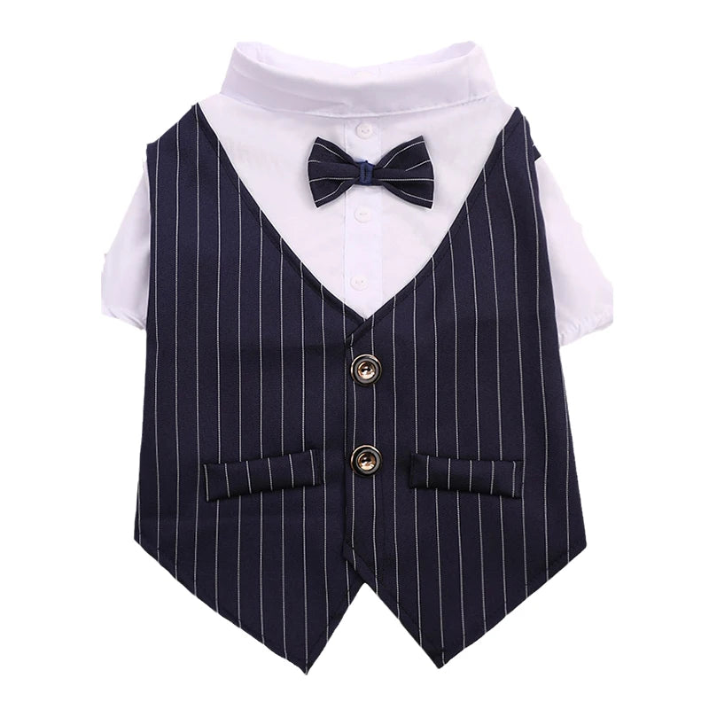 Costume gentleman pour chat