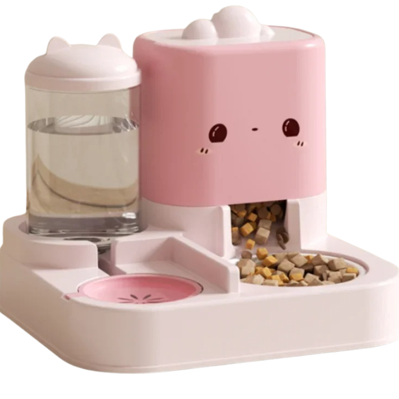 distributeur de croquettes et d'eau automatiques pour chat
