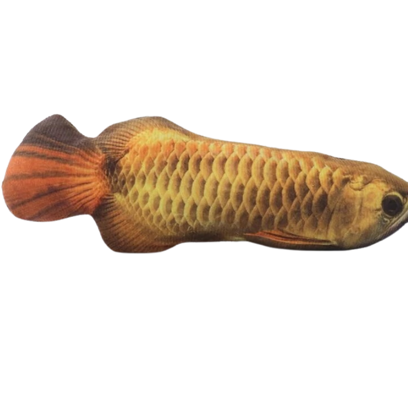 Jouet pour chat poisson