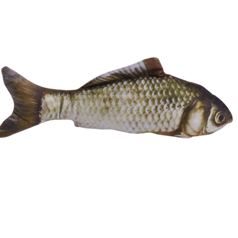 Jouet pour chat poisson