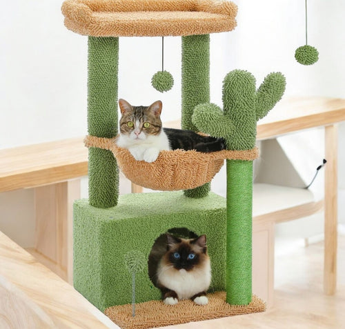 Arbre a chat 4 en 1 design cactus 80cm