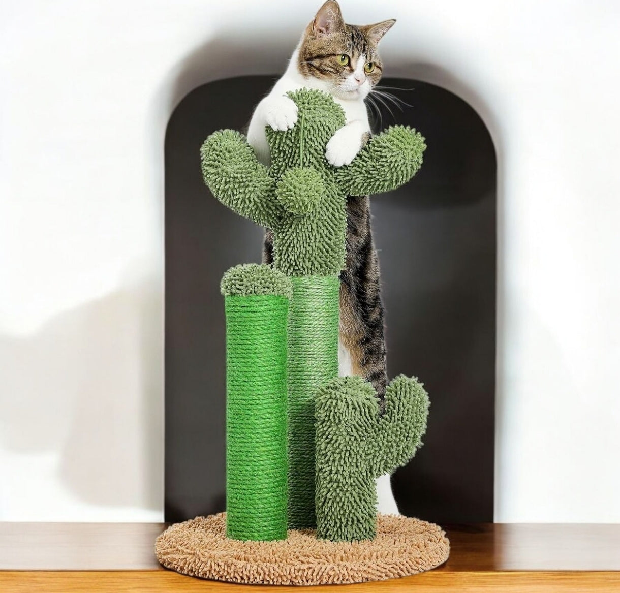 Griffoir pour chat design cactus